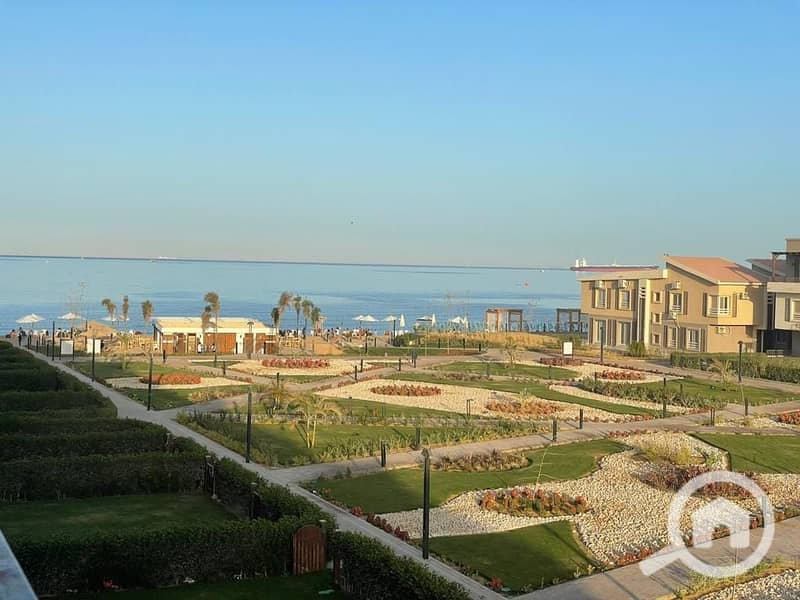 2 482233381_1811335356378543_4755825781953672780_n. jpg