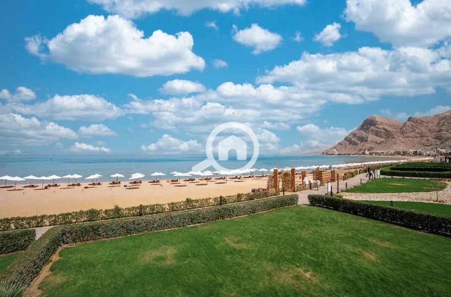 3 481701538_1318208996080480_6320403002126208994_n. jpg