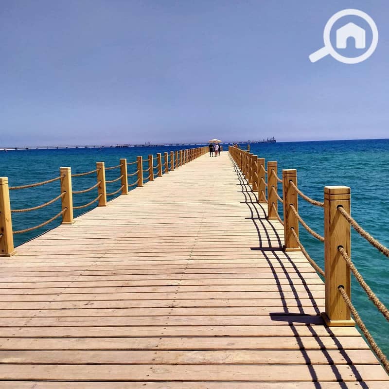 4 481675896_1867111014031497_7220313141612766694_n. jpg