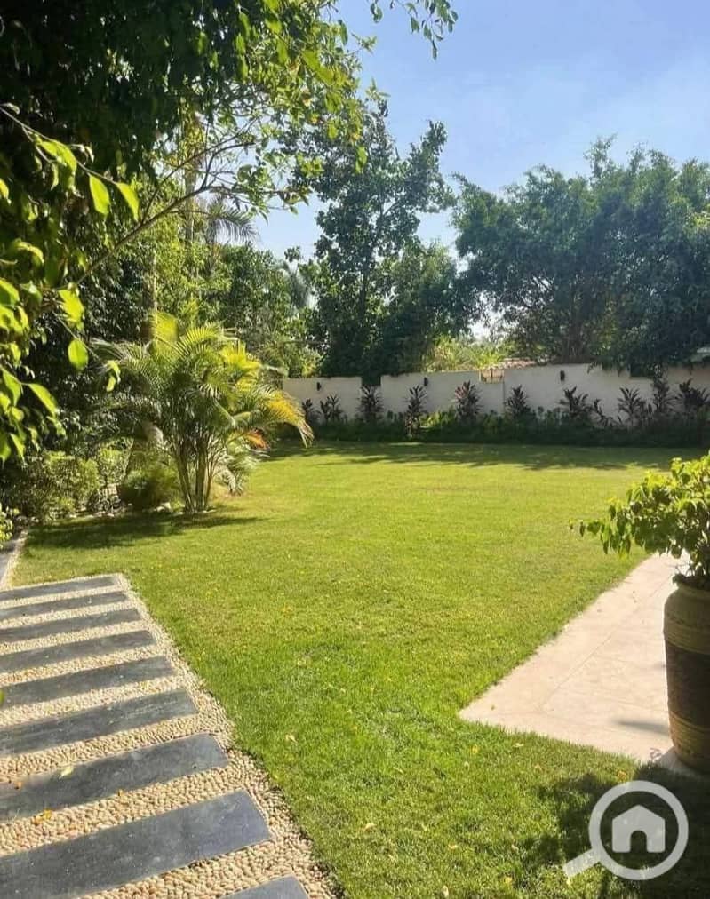 4 FB_IMG_1766377240062. jpg