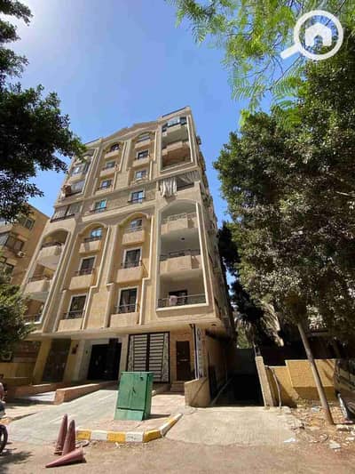 مکتب  للايجار في الزمالك، القاهرة - 1000248828. jpg