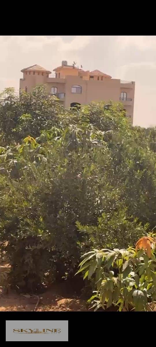 5 WhatsApp Image 2025-12-26 at 08.27. 17. jpeg