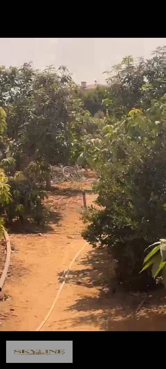 6 WhatsApp Image 2025-12-26 at 08.27. 18 (1). jpeg