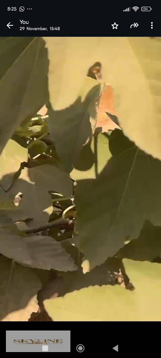 10 WhatsApp Image 2025-12-26 at 08.27. 19 (1). jpeg