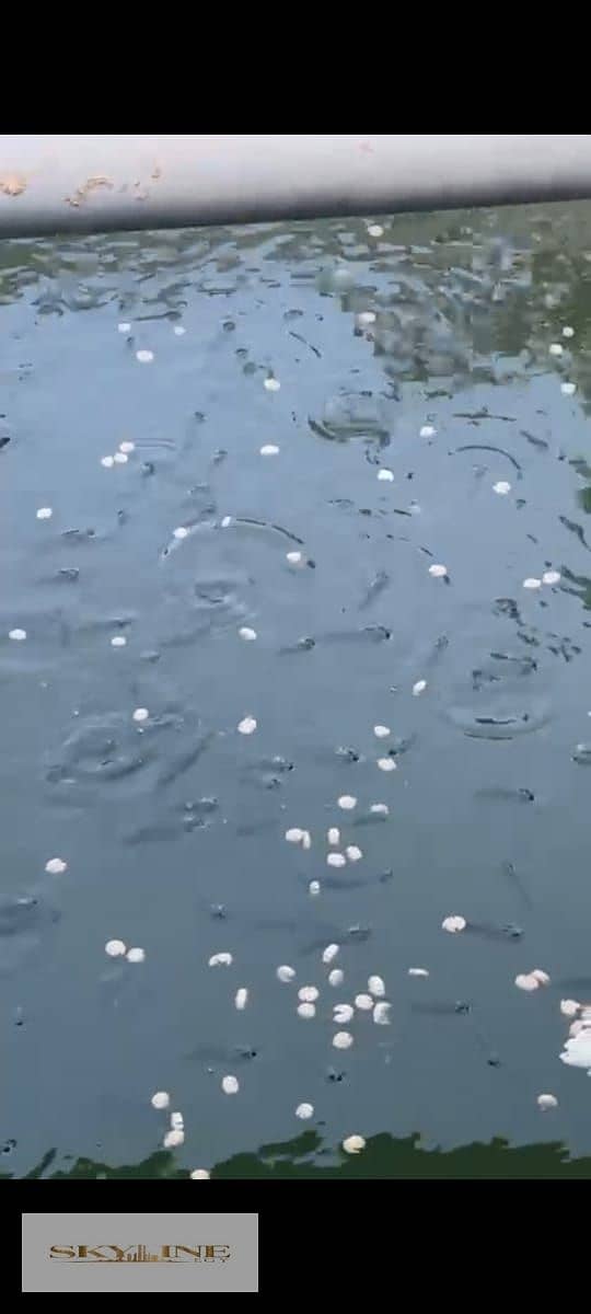 12 WhatsApp Image 2025-12-26 at 08.27. 19 (3). jpeg