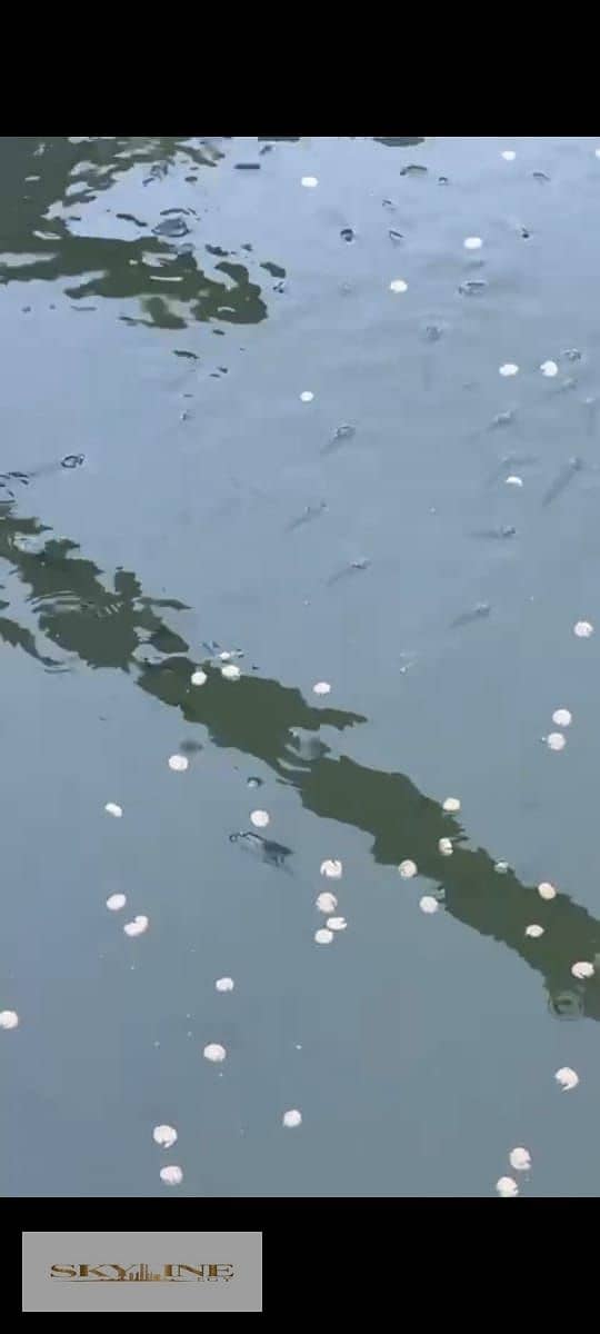 14 WhatsApp Image 2025-12-26 at 08.27. 20 (1). jpeg