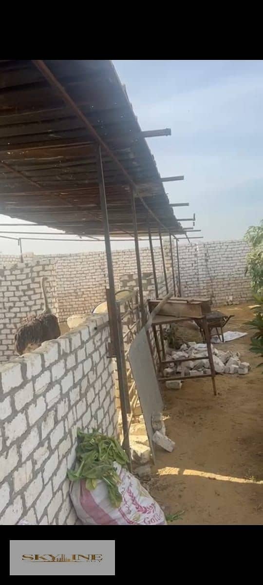 15 WhatsApp Image 2025-12-26 at 08.27. 20 (2). jpeg