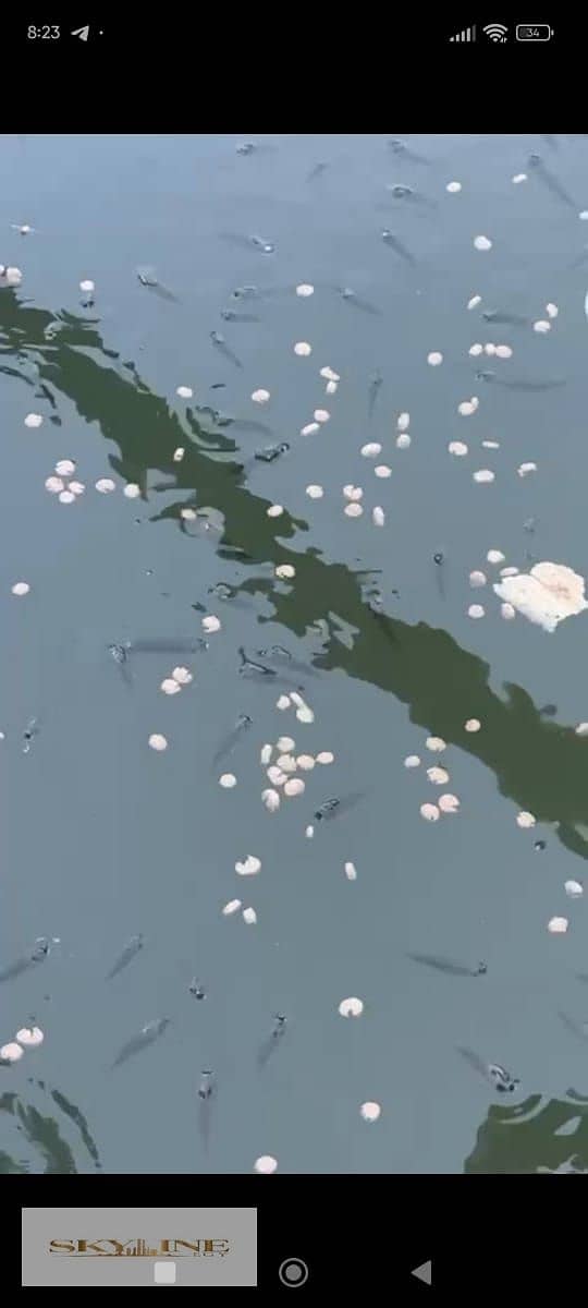 16 WhatsApp Image 2025-12-26 at 08.27. 20 (3). jpeg