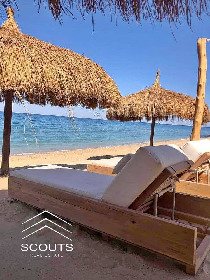 12 467402518_1499616387415684_2292415474091280046_n. jpg