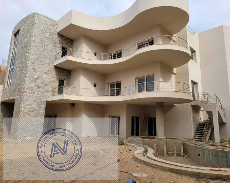 8 438322c7-6dc8-42af-9282-0deb8cf6c3c4. jpg