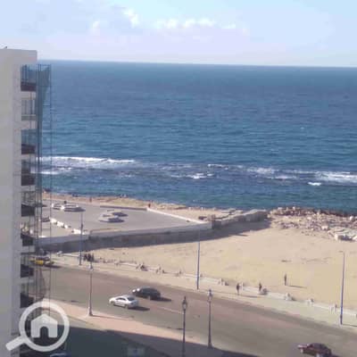 2 Bedroom Flat for Rent in Miami, Alexandria - 1000274453. jpg