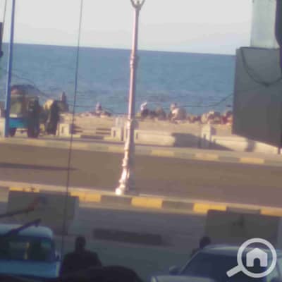 2 Bedroom Apartment for Rent in Miami, Alexandria - 1000274424. jpg