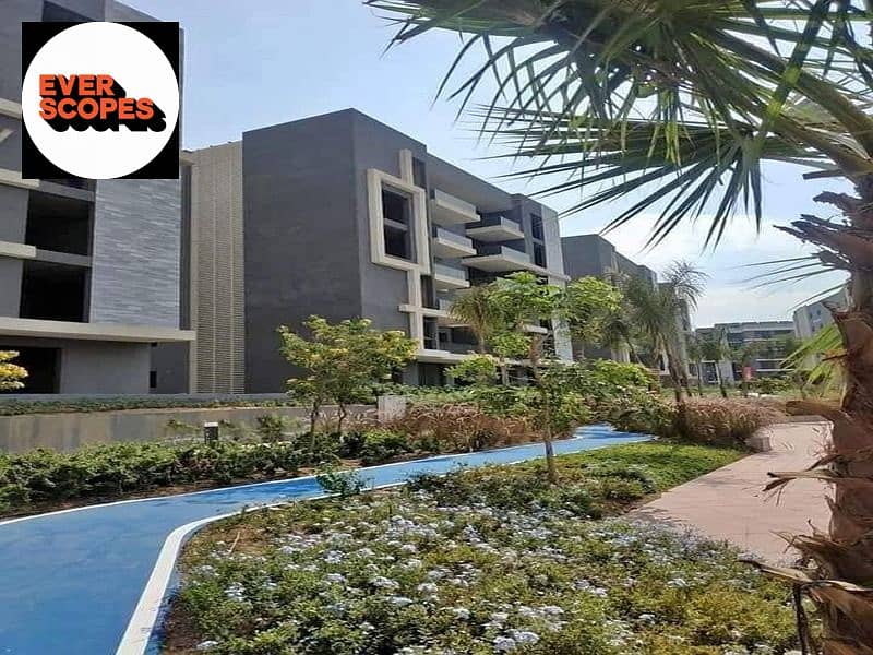 11 375219322_204363479313304_8016316637279758095_n. jpg