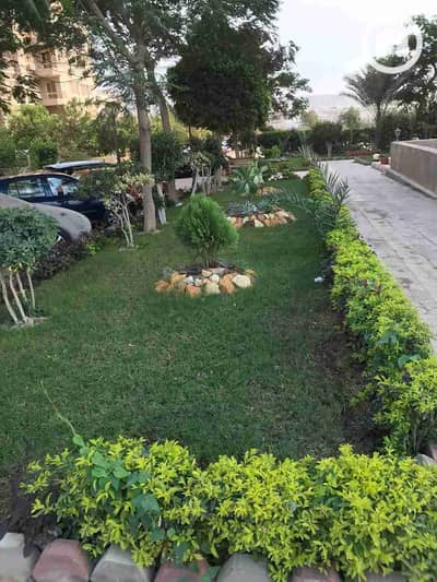 شقة 3 غرف نوم للايجار في زهراء المعادى، القاهرة - 1000188980. jpg