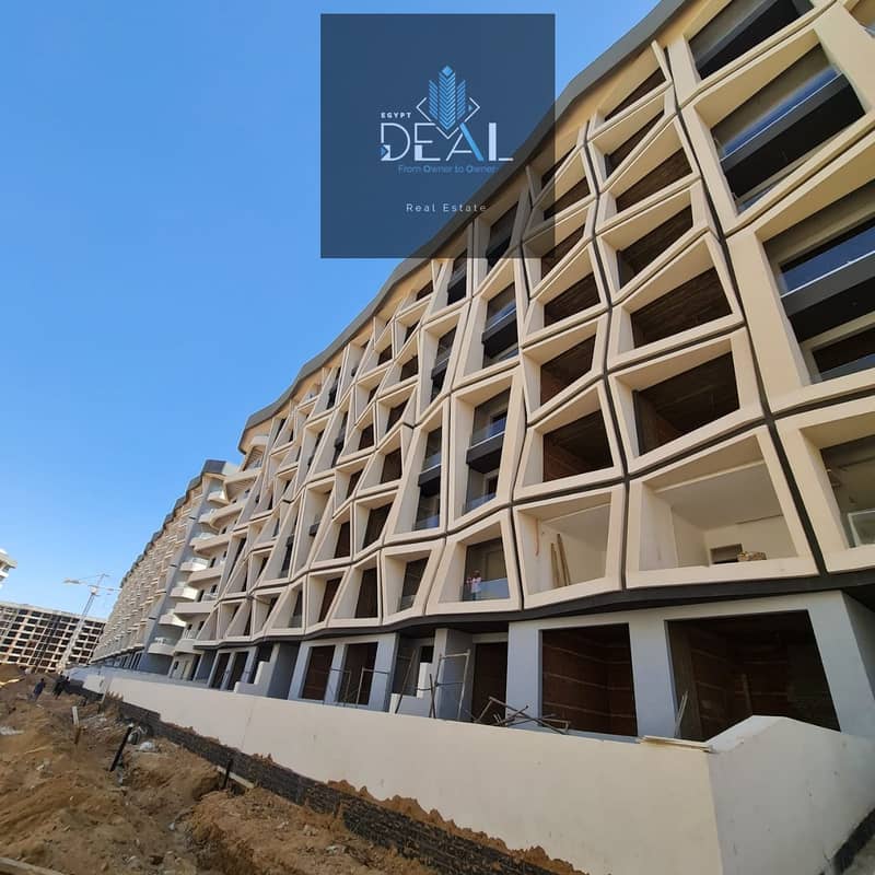 10 condododod (11). jpeg