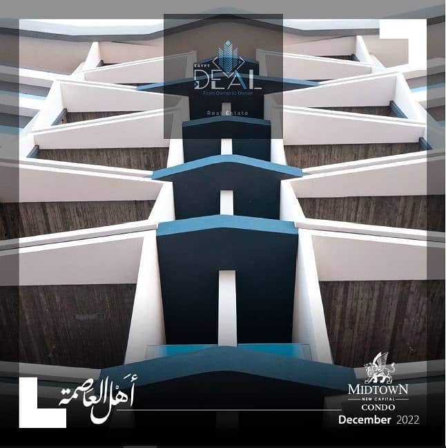 16 condododod (20). jpeg