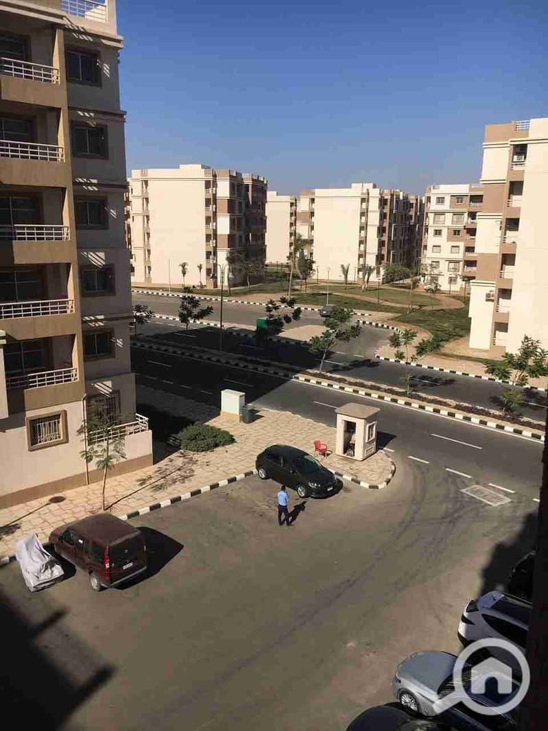 1000604003. jpg 1000604003. jpg