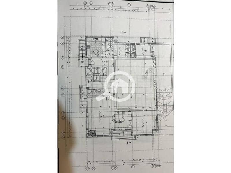 8 04667e0b-dd77-4f55-999d-5dd97b163333. jpg