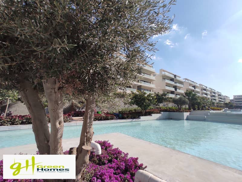 7 WhatsApp Image 2025-12-11 at 16.59. 15_7136173f - Copy. jpg