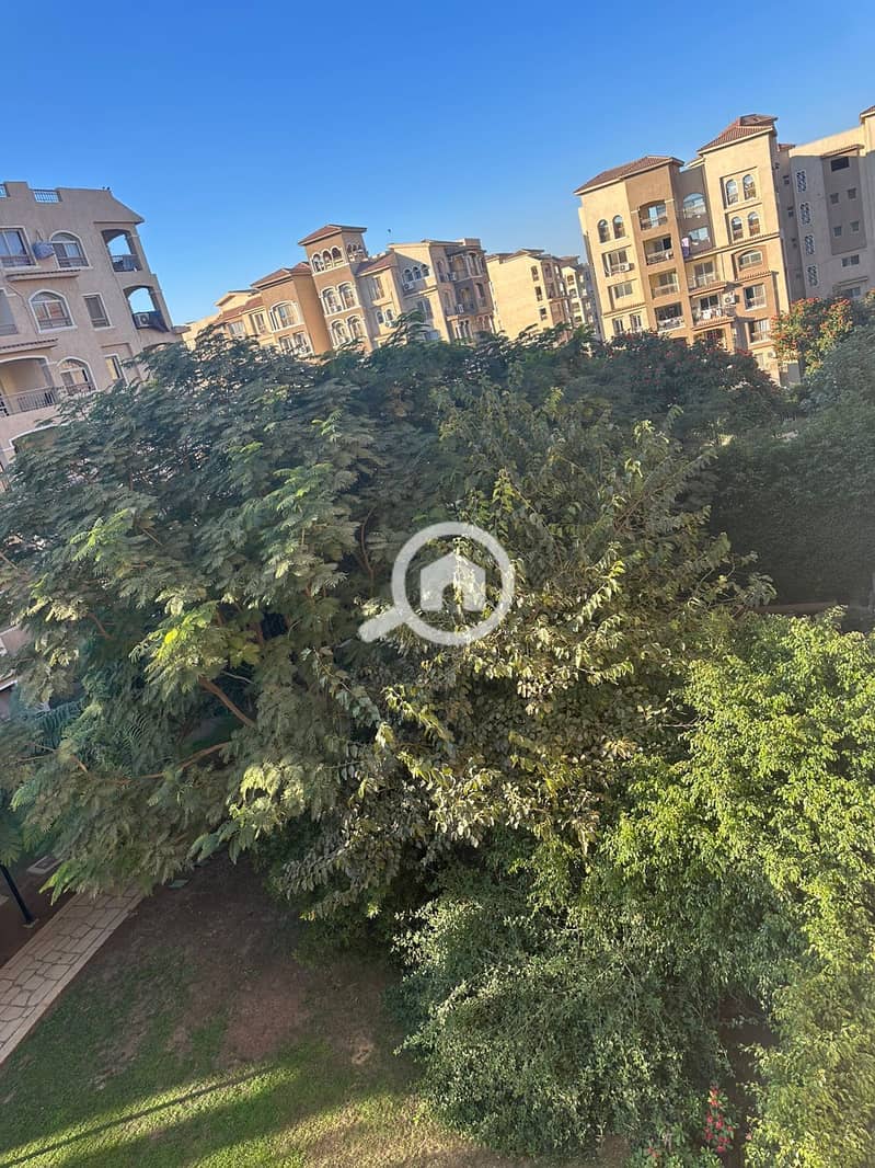 2 3d7ca8fa-83b4-4fe6-98db-0036ea03b441. jpg