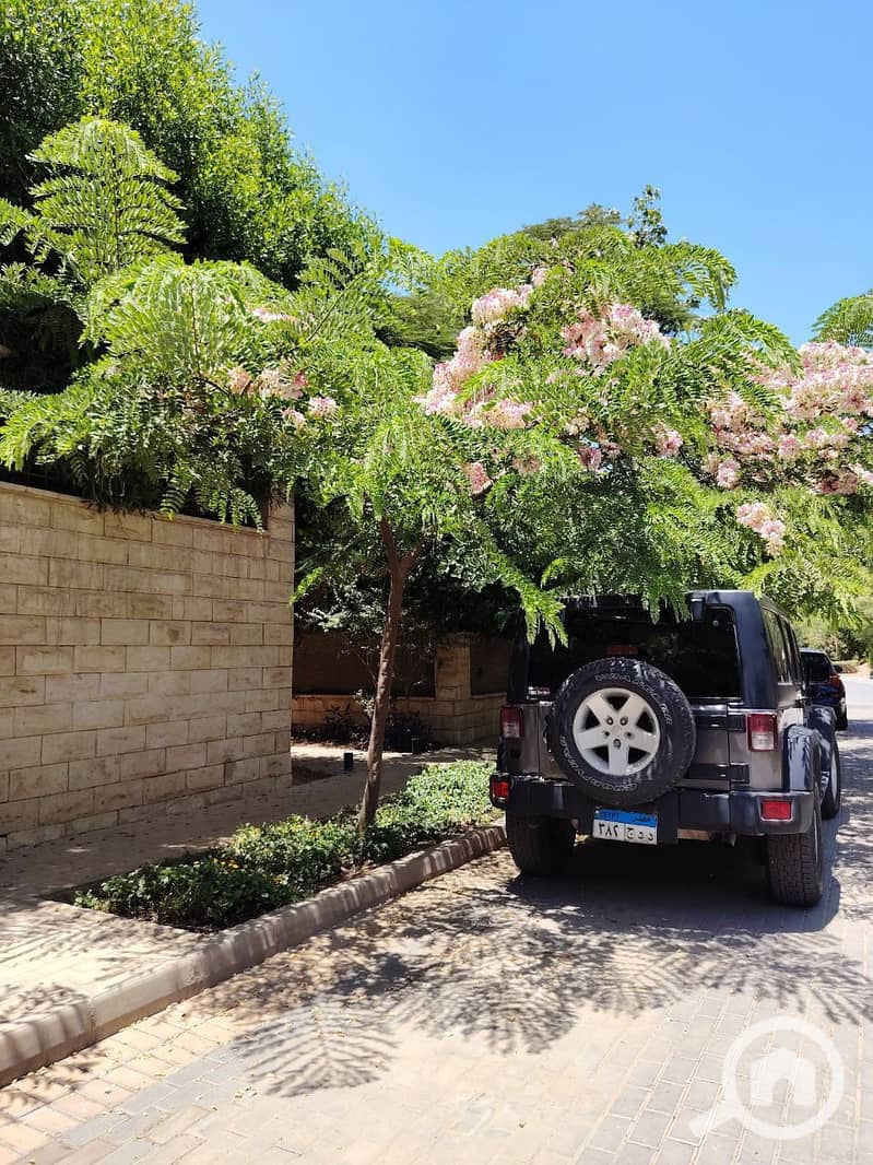 7 photo_2025-07-17_11-42-20. jpg