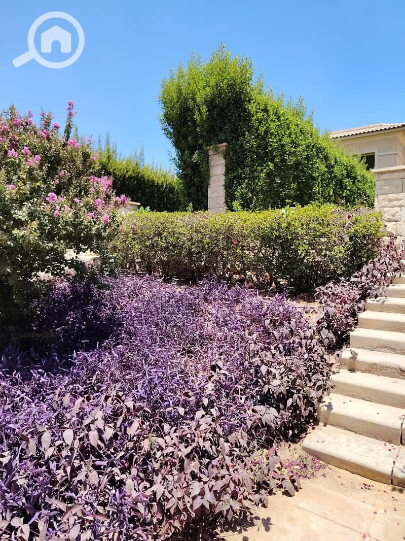 10 photo_2025-07-17_11-42-14. jpg