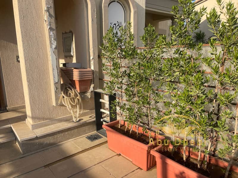 15 d53961a3-f791-4790-b62d-aa628cd4b343. jpg