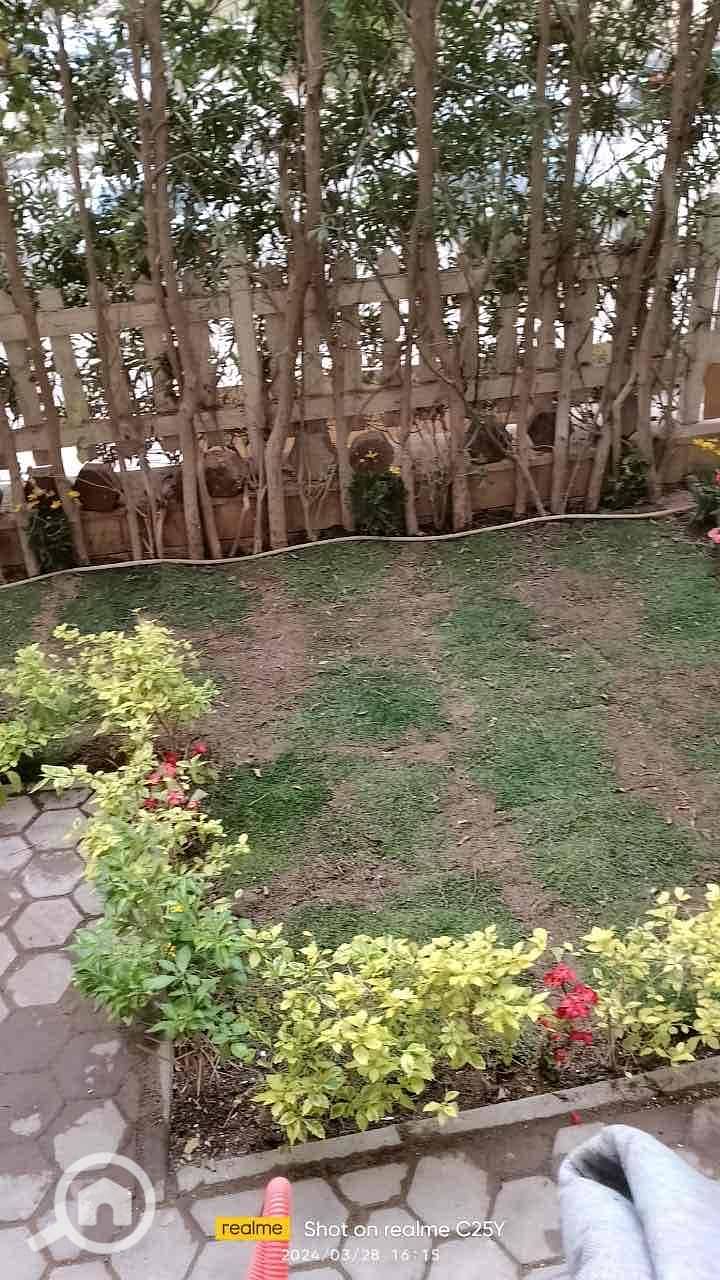 2 2ce921c2-4939-4dd9-aa52-48b0400f33a4. jpg