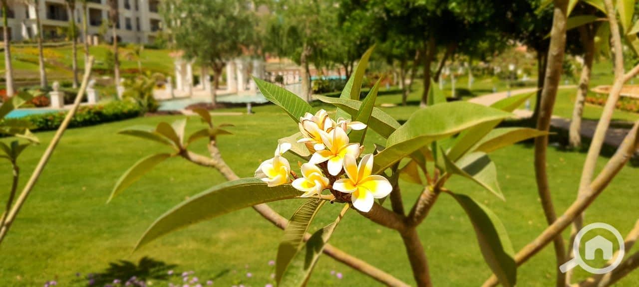 6 WhatsApp Image 2020-11-27 at 11.54. 54 AM. jpeg