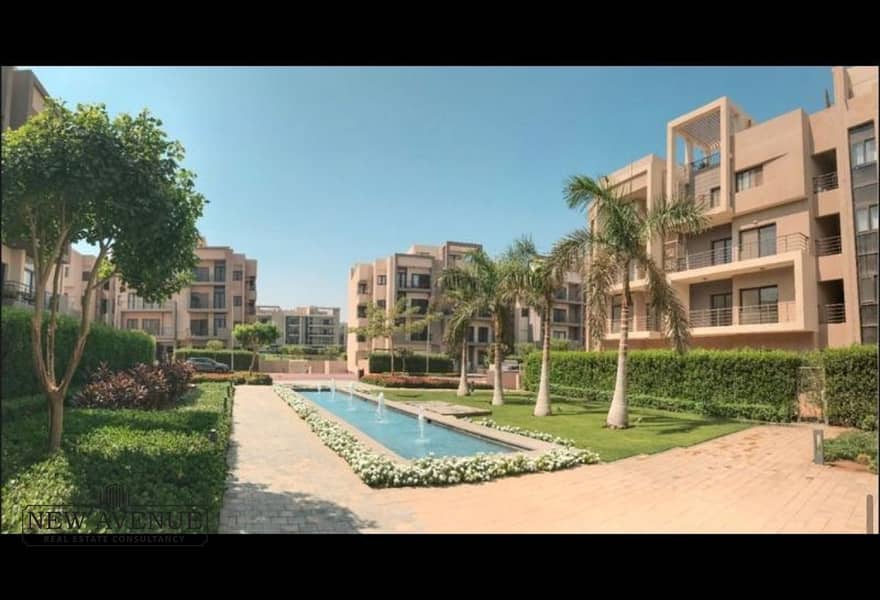 6 3891ed22-79fe-47e1-a023-7ceaf0c957fd. jpg