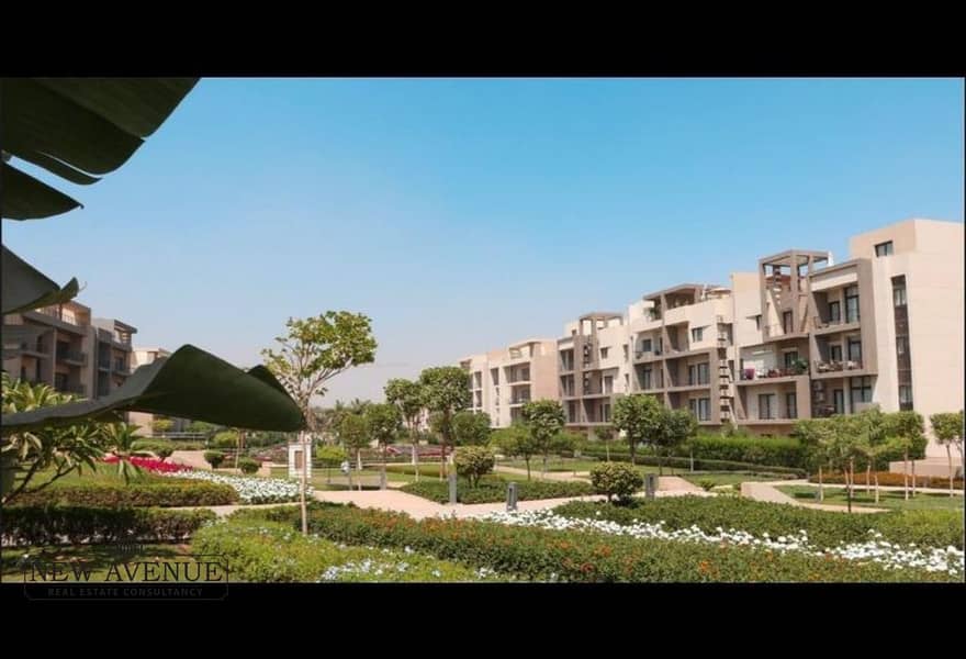 11 ae8e5865-779c-41da-b076-750e9d260d99. jpg