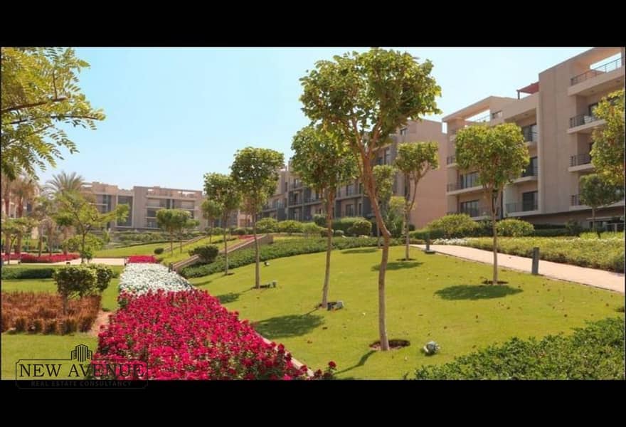 12 e84c0e37-9a86-436d-86f4-a659d71b3df8. jpg