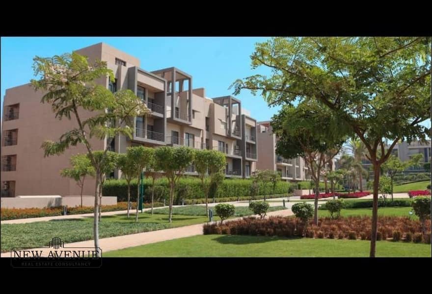 13 e52969bd-e38e-4d37-adcc-ff87aa7ed99c. jpg