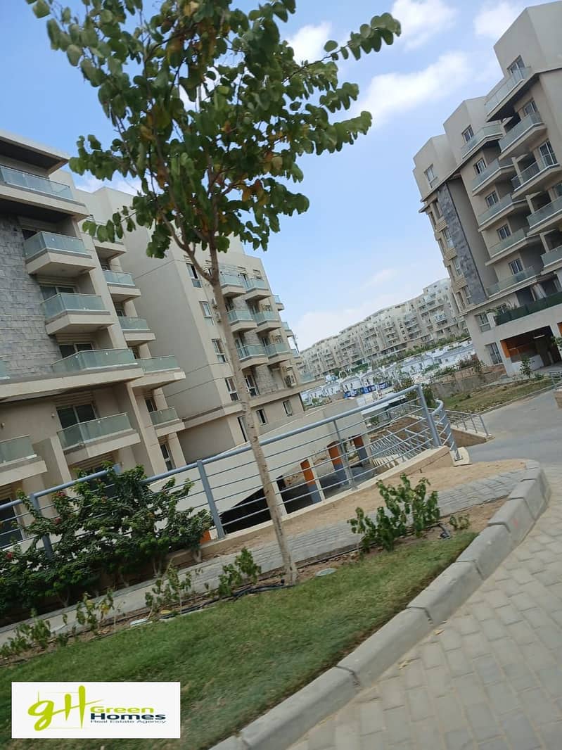 4 WhatsApp Image 2025-08-17 at 12.52. 49 PM (1). jpeg