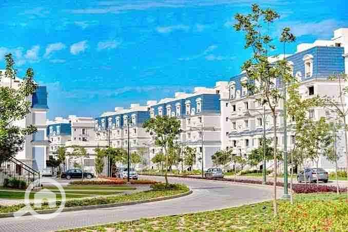 6 images - 2025-08-01T202535.524. jpeg