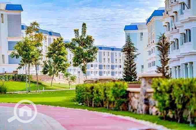 11 images - 2025-08-01T202545.272. jpeg