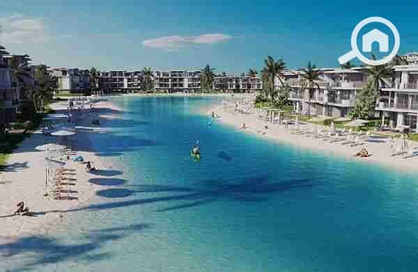 4 images - 2025-08-04T182231.975. jpeg