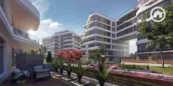 4 images - 2025-09-16T155450.361. jpeg