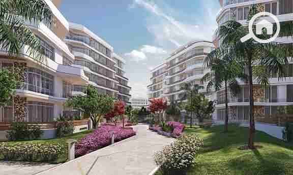 9 images - 2025-09-17T152809.944. jpeg