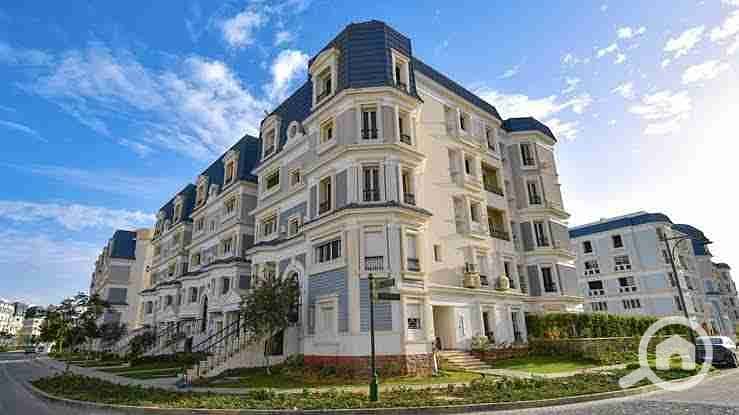 3 images - 2025-08-01T202525.978. jpeg