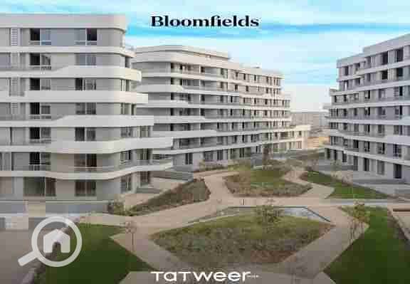 7 images - 2025-09-16T155609.773. jpeg