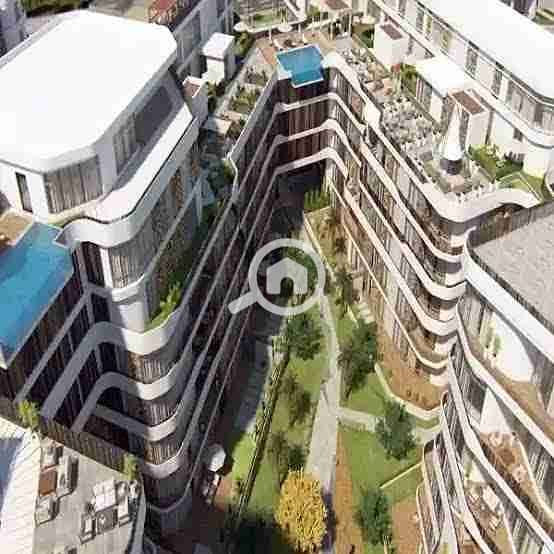 9 images - 2025-09-16T155457.738. jpeg