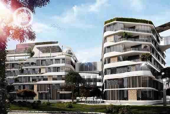 11 images - 2025-09-16T155504.527. jpeg