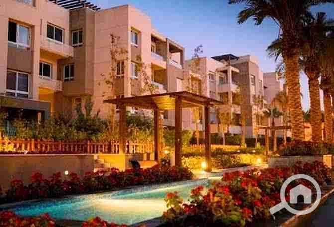 6 images - 2025-11-20T202957.574. jpeg