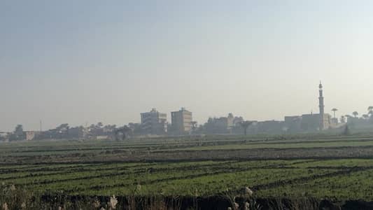 زراعي  للبيع في مدينة الفيوم، الفيوم - للبيع مزرعة سمكية – الفيوم