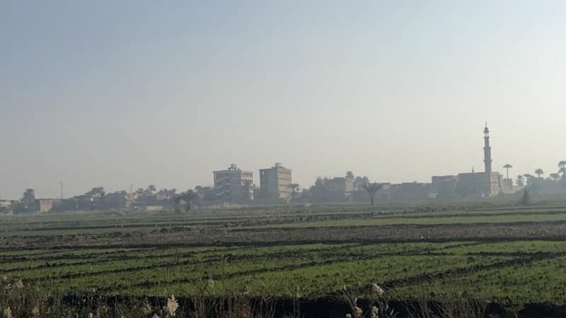 للبيع مزرعة سمكية – الفيوم للبيع مزرعة سمكية – الفيوم