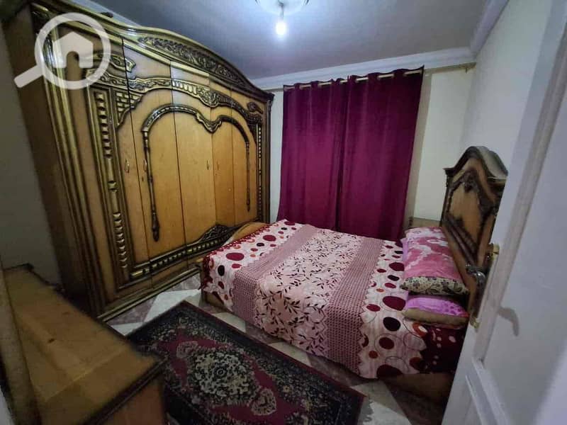 3 00cef66c-c374-4916-856f-dc557a497935. jpg