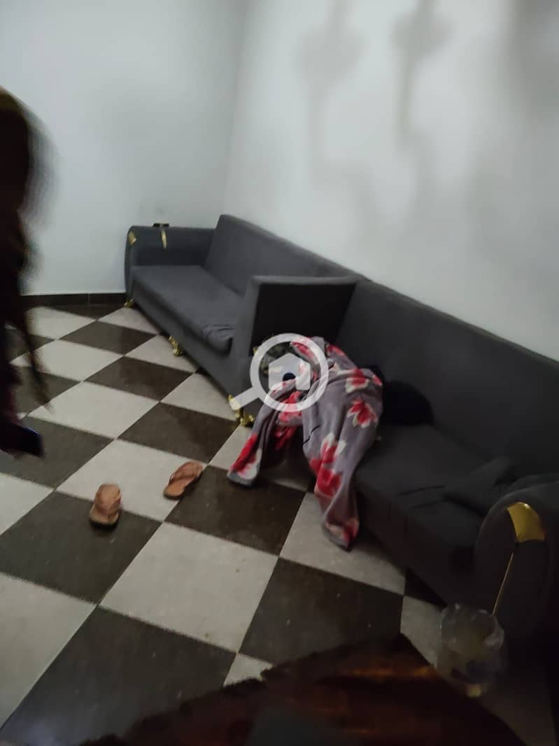 12 d41fd053-5f19-484c-9ed7-c43b1cf6da5d. jpg