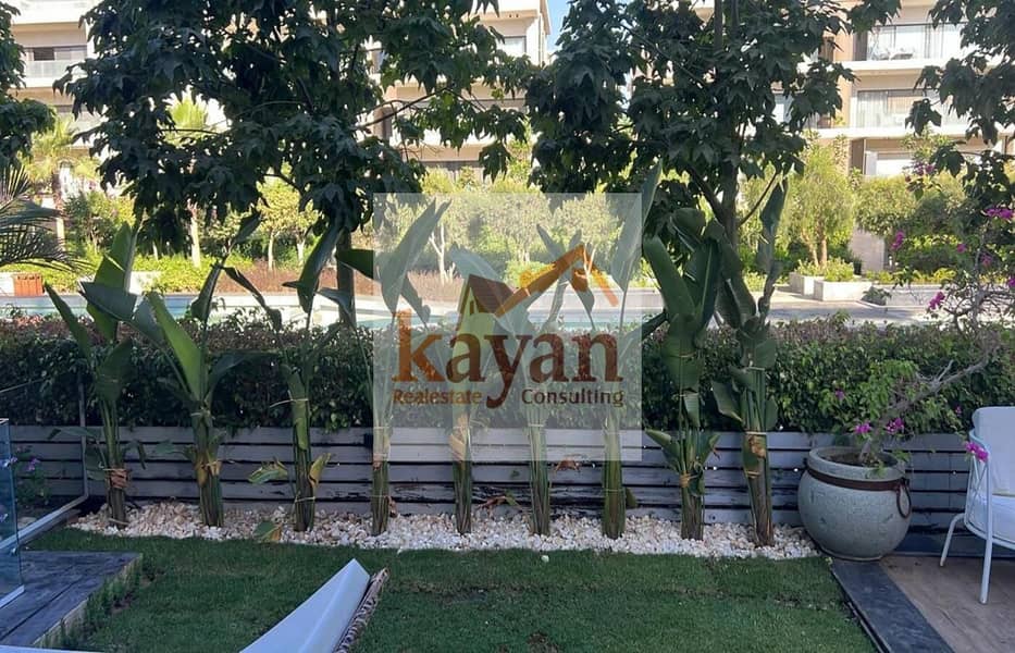 8 52e1cdda-d852-410e-a107-e23bc8e64ba4. jpg