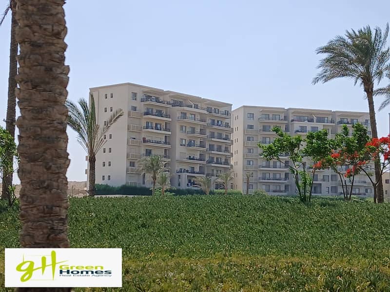 2 WhatsApp Image 2025-10-27 at 13.14. 43 (4). jpeg